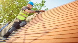 Best Rubber Roofing (EPDM, TPO)  in Janesville, CA