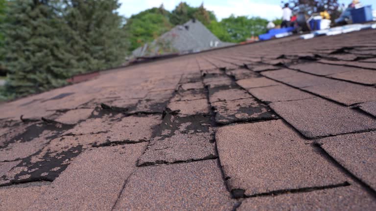 Best Roof Coating and Sealing  in Janesville, CA