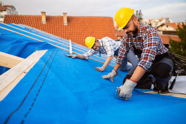 Best Roof Leak Repair  in Janesville, CA