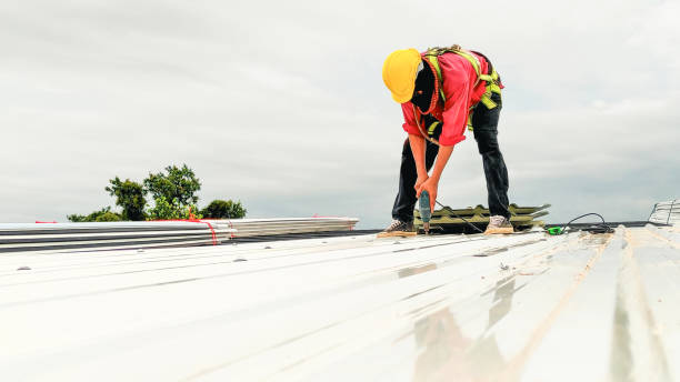 Best Metal Roofing Installation  in Janesville, CA
