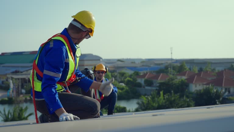 Best Skylight Installation and Repair  in Janesville, CA