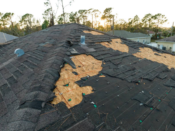 Best Wood Shake Roofing  in Janesville, CA