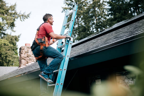 Best Gutter Installation and Repair  in Janesville, CA