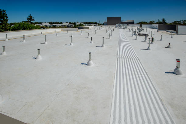 Best EPDM Roofing  in Janesville, CA